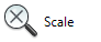 Zoom Scale