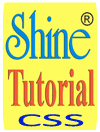 CSS
