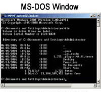 CSS